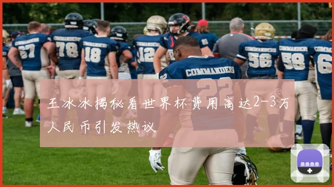 王冰冰揭秘看世界杯费用高达2-3万人民币引发热议
